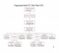 /album/organigrama-firmei/nou-catalog-page-22-jpg/
